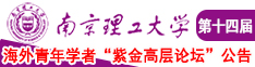 性爱艹逼南京理工大学第十四届海外青年学者紫金论坛诚邀海内外英才！